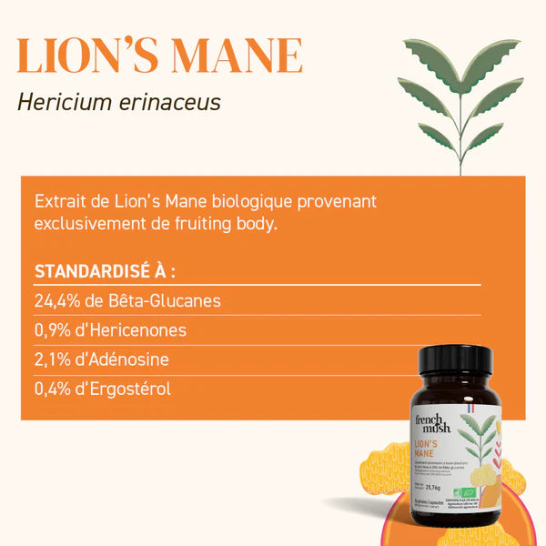 La composition exacte de chaque gélule de lion's mane french mush