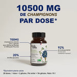Le dosage par dose du Duo Maïtaké + Pleurote de la marque French Mush