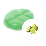 Chips parfumée bergamot sur fond blanc.