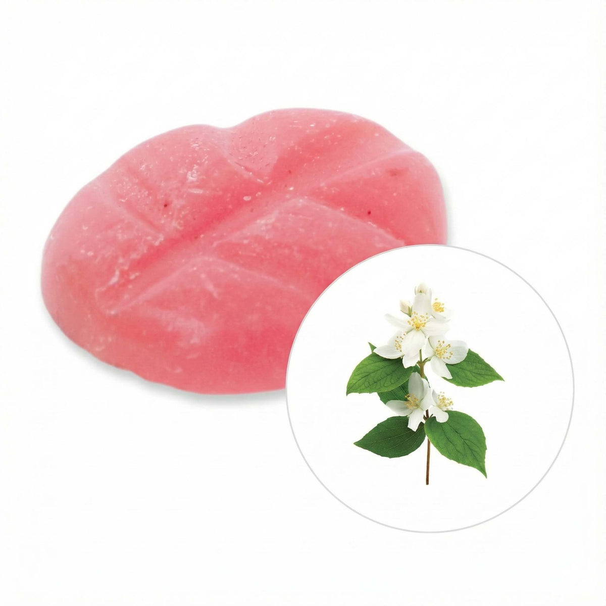 Cire parfumée au jasmin de scentships sur fond blanc.