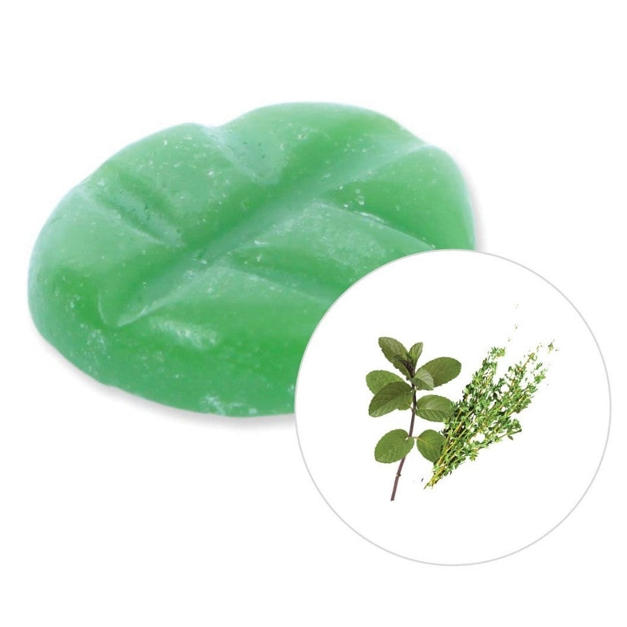 Cire parfumé patchouli et thym de scentships sur fond blanc.