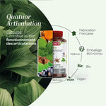 Les bienfaits sur les articulations des plantes contenus dans les gélules de Quatuor Bio Articulation Superdiet