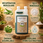 Activ' Recup Cheval Naturacheval 1L - Supplément équin récupération musculaire et électrolytes