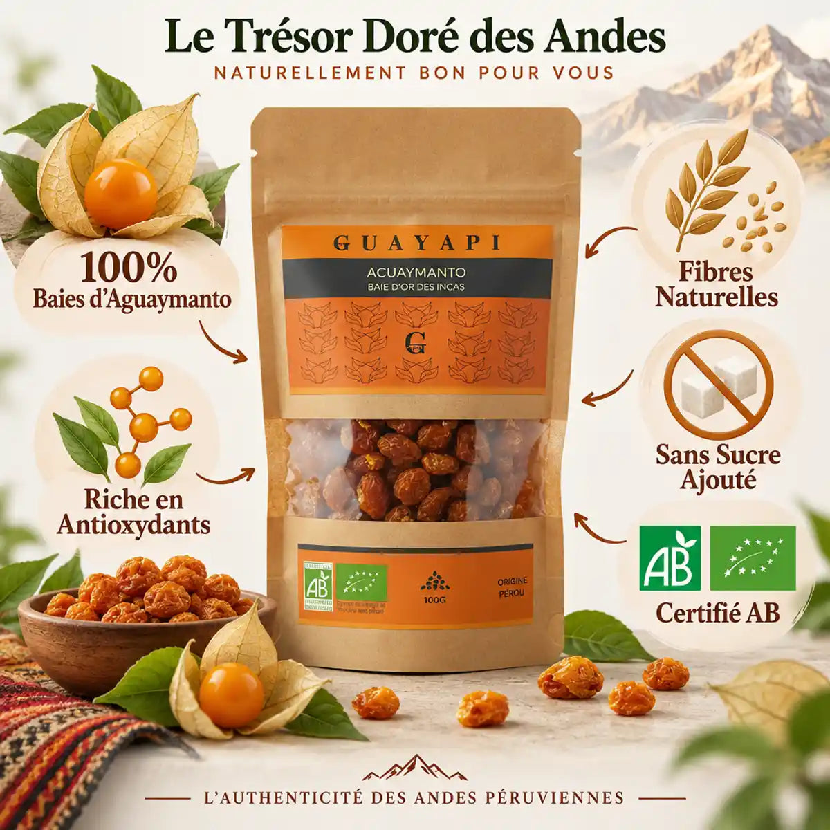 Aguaymanto Bio Guayapi 100g sachet kraft avec baies séchées, antioxydants naturels certifiés AB