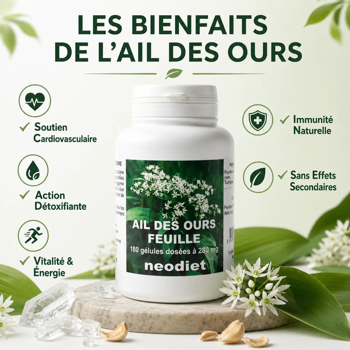 Bouteille Neodiet Ail des Ours 280mg avec bénéfices cardiovasculaires, détoxifiants et immunité naturelle affichés