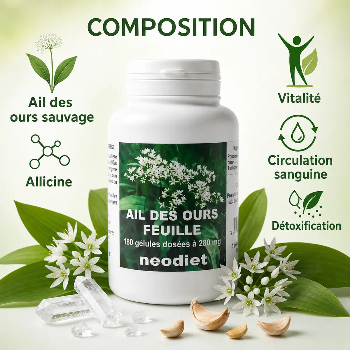 Ail des ours bio 280 mg Neodiet 180 gélules avec feuilles sauvages et composition