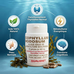 Bouteille Ascophyllum Nodosum Bio 505mg avec infographie des bénéfices: thyroïde, énergie, cognition, peau et iode naturel