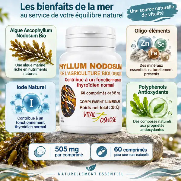 Bouteille Algue Ascophyllum Nodosum Bio 505 mg 60 comprimés Vital Osmose avec ingrédients