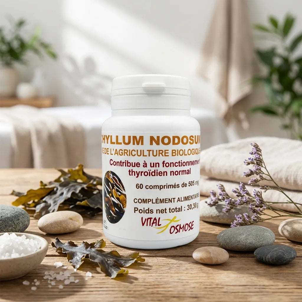 Algue Ascophyllum Nodosum Bio 505 mg complément alimentaire naturel Vitalosmose flacon