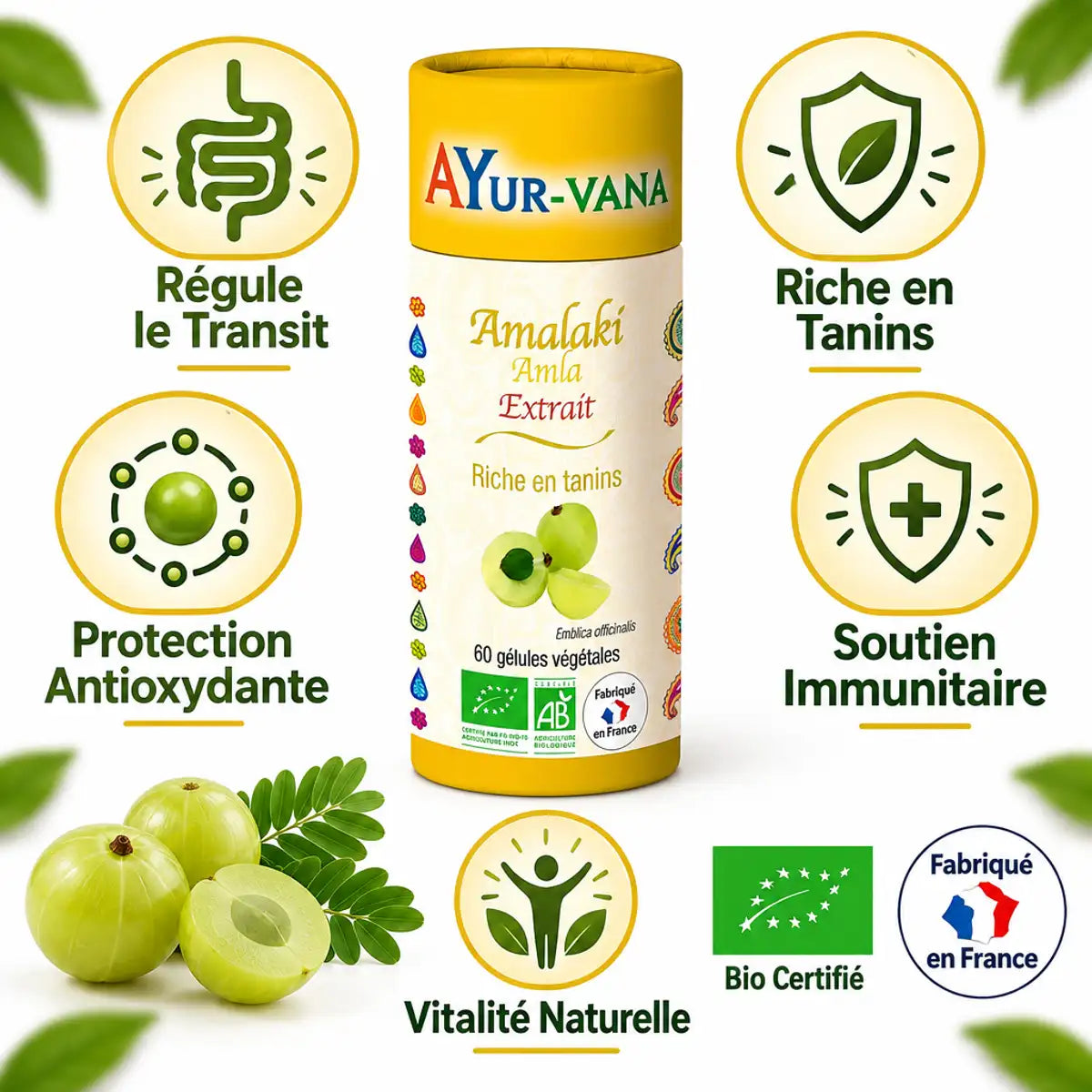 Amalaki Bio Ayur-Vana - complément transit intestinal bio avec bénéfices antioxydants et immunitaires