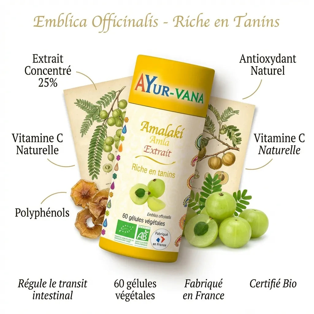 Amalaki Bio Ayur-Vana - complément alimentaire régule transit intestinal avec amla bio