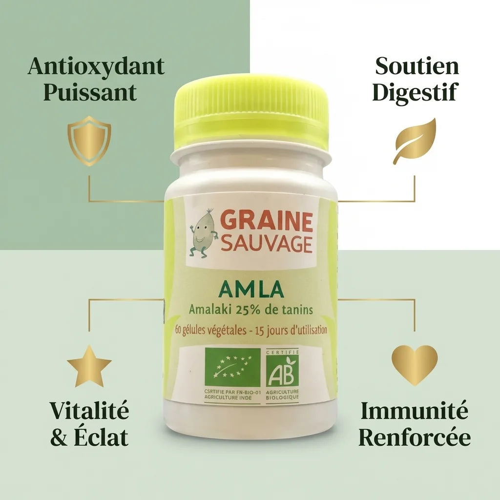Amla Bio Graine Sauvage 60 gélules amalaki 25% tanins avec bénéfices antioxydant et immunité