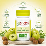 Amla Bio 60 gélules Graine Sauvage avec fruits amalaki frais et bénéfices antioxydants