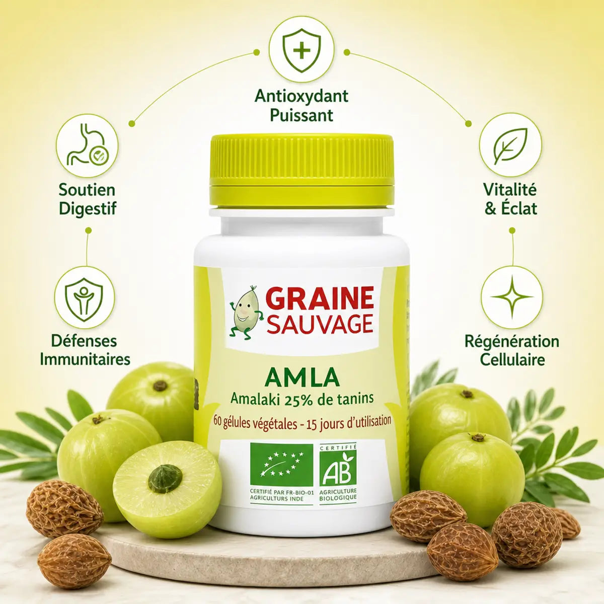 Amla Bio 60 gélules Graine Sauvage avec fruits amalaki frais et bénéfices antioxydants