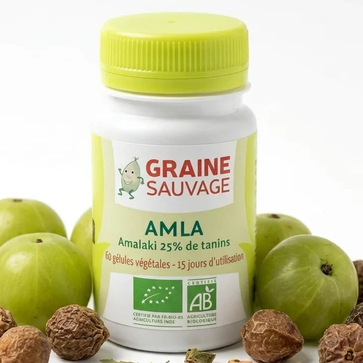 Amla Bio Graine Sauvage 60 gélules avec fruits frais et baies séchées sur fond blanc