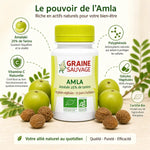 Amla Bio 60 gélules Graine Sauvage avec fruits amalaki frais, 25% tanins et vitamine C naturelle