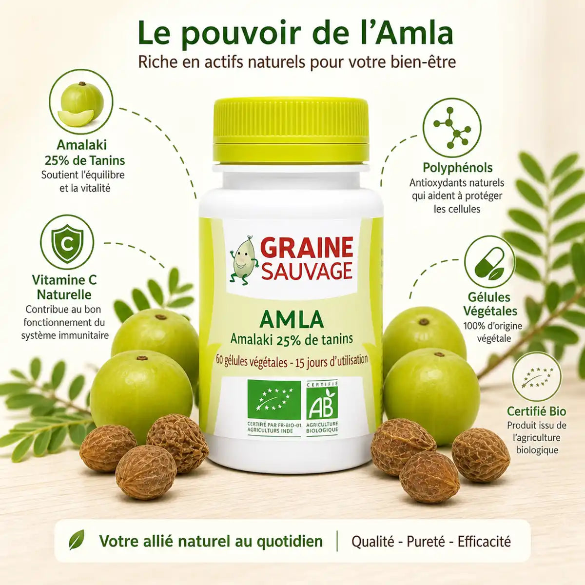 Amla Bio 60 gélules Graine Sauvage avec fruits amalaki frais, 25% tanins et vitamine C naturelle