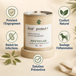Anal' Protect + gélules santé glandes anales chien avec bénéfices prévention inflammation Phyto'Lab