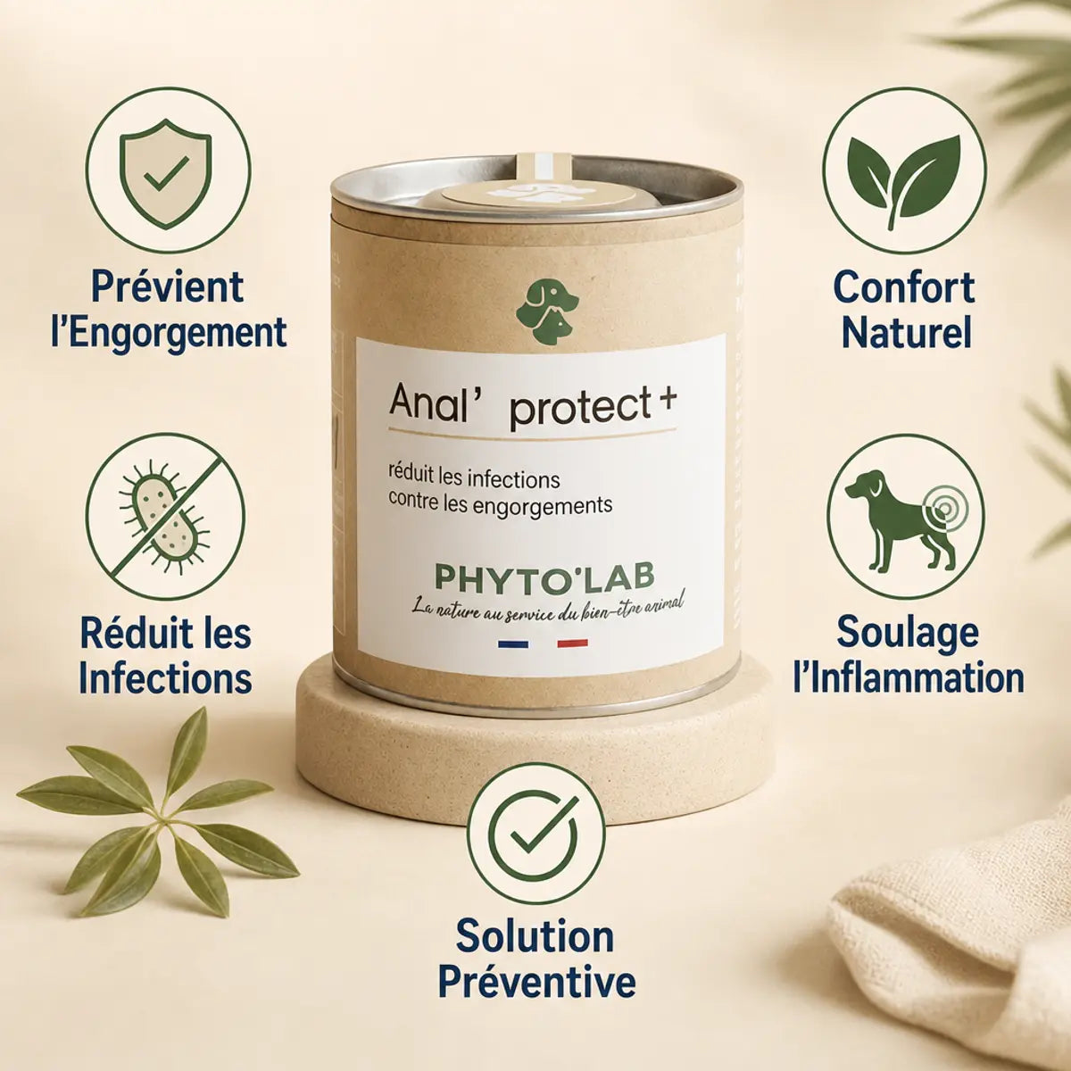 Anal' Protect + gélules santé glandes anales chien avec bénéfices prévention inflammation Phyto'Lab