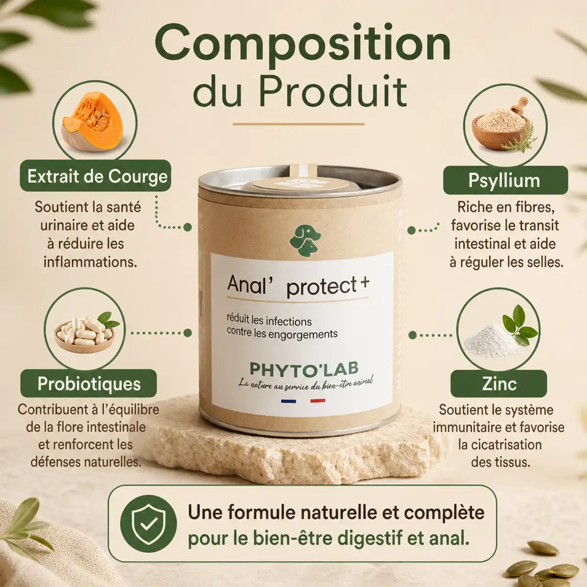 Anal' Protect+ Phyto'Lab avec ingrédients courge, psyllium, probiotiques et zinc pour santé glandes anales chien
