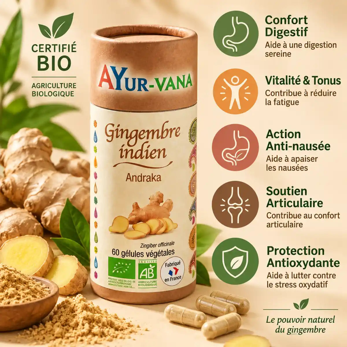 Andraka bio gingembre indien 60 gélules Ayur-Vana avec bénéfices digestifs et antioxydants