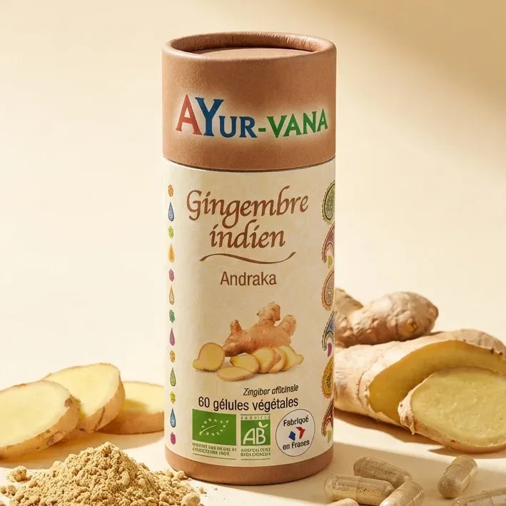 Andraka bio gingembre indien 60 gélules Ayur-Vana avec racine fraîche et poudre