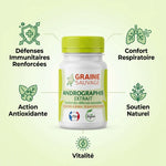 Andrographis extrait 60 gélules Graine Sauvage avec bénéfices immunitaires et respiratoires