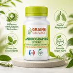 Andrographis extrait 60 gélules Graine Sauvage avec bénéfices immunité et confort respiratoire