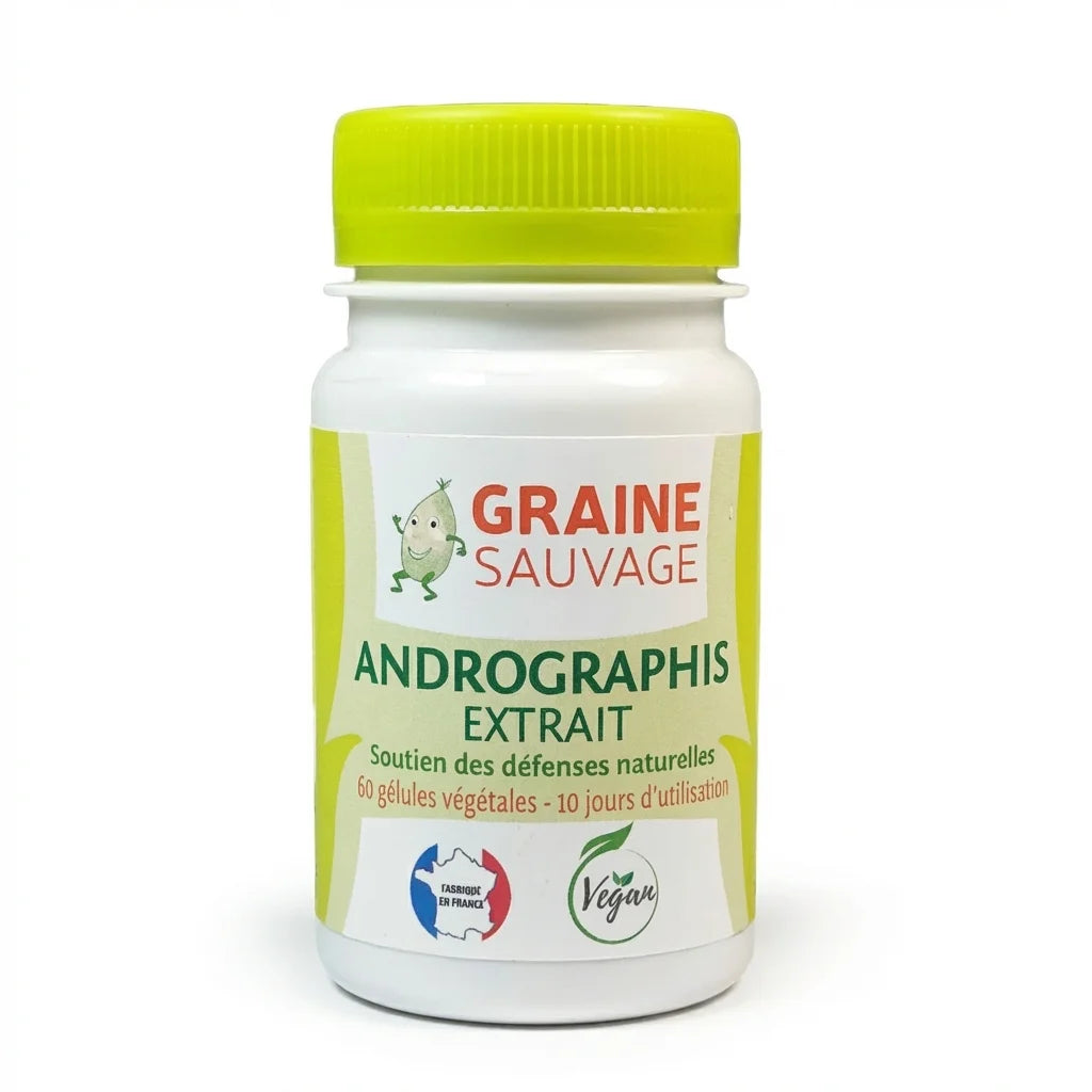Bouteille Andrographis Extrait 60 gélules Graine Sauvage avec capsule verte et label blanc sur fond blanc