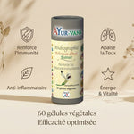 Andrographis Ayur-Vana - Complément immunité 60 gélules avec bénéfices santé illustrés