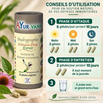 Bouteille Andrographis Ayur-Vana avec instructions d'usage pour renforcer défenses immunitaires