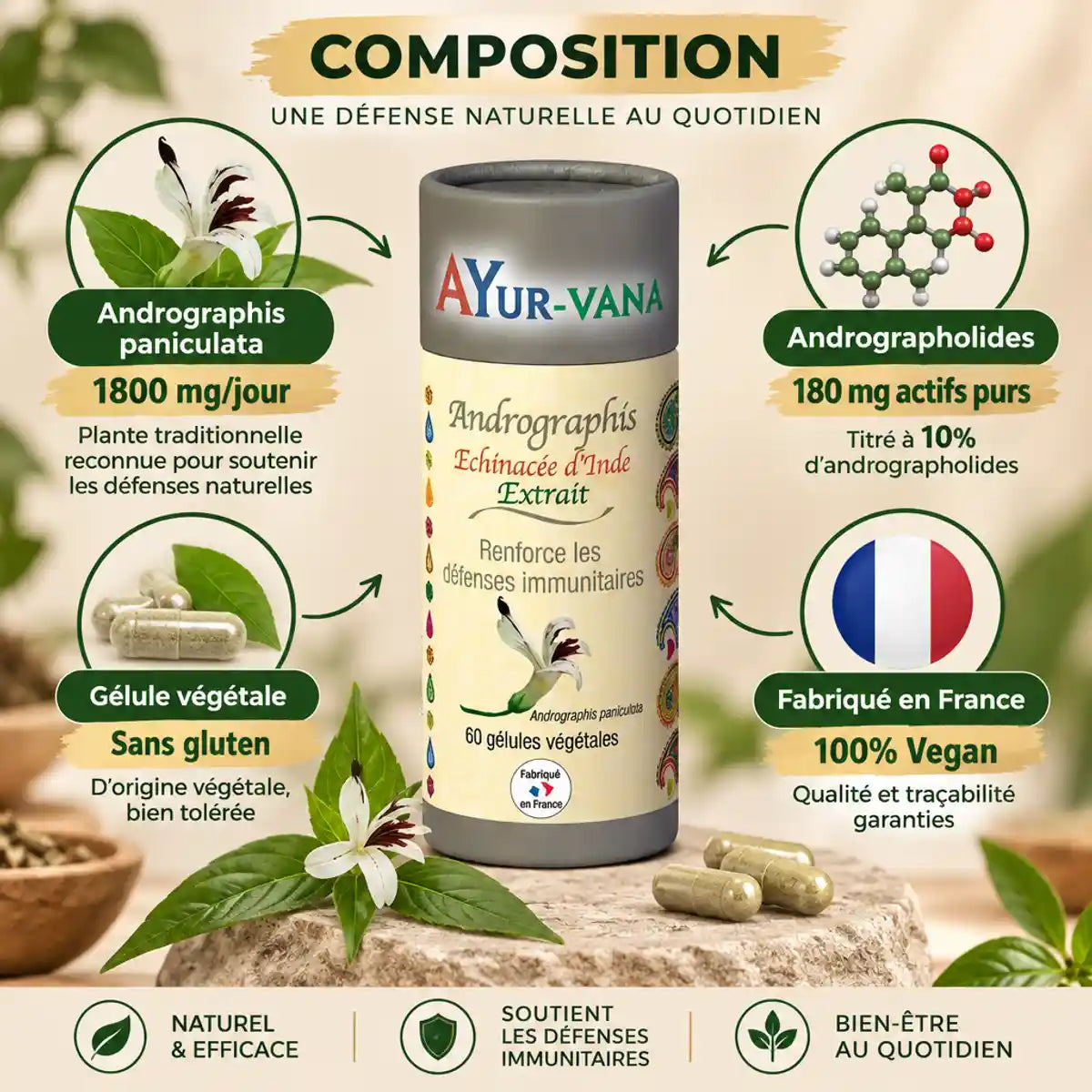 Andrographis Ayur-Vana gélules végétales renforce défenses immunitaires composition
