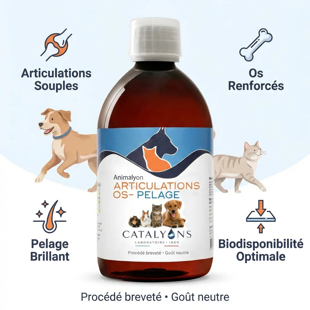 Animalyon Articulations Os Pelage 500ml - Supplément articulations, os et pelage pour animaux