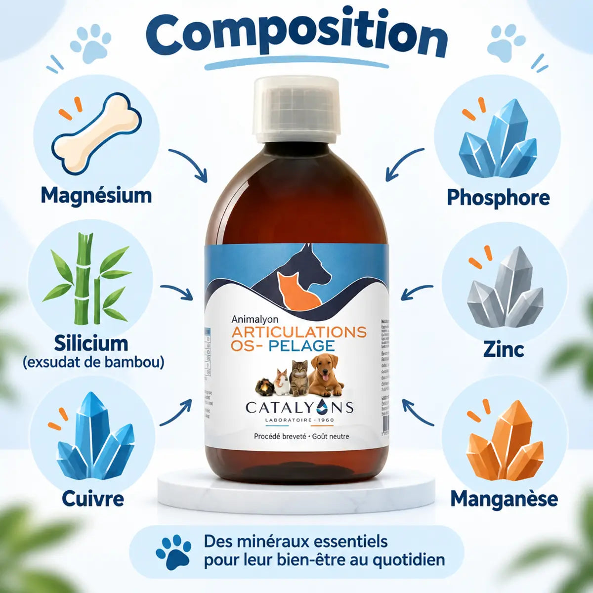 Flacon Animalyon Articulations, Os & Pelage 500 ml de Catalyons, avec composition : magnésium, phosphore, silicium, zinc, cuivre et manganèse
