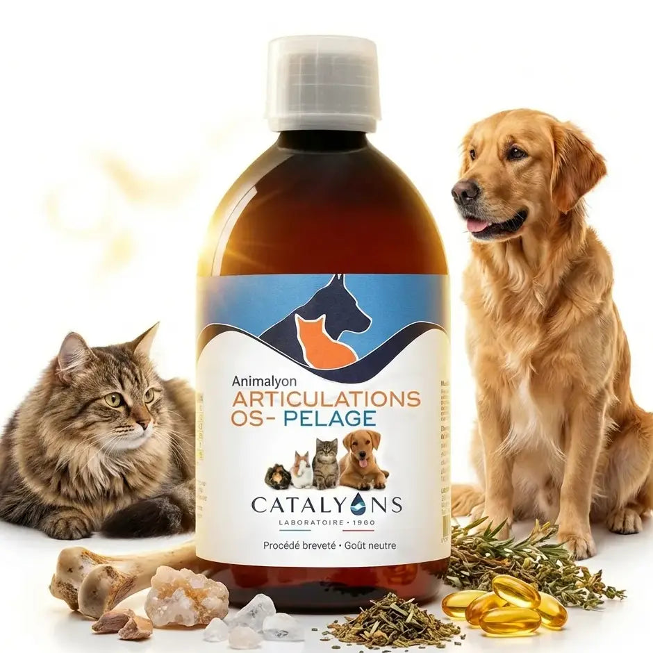 Animalyon Articulations Os & Pelage 500ml avec chien et chat, ingrédients naturels pour santé articulaire