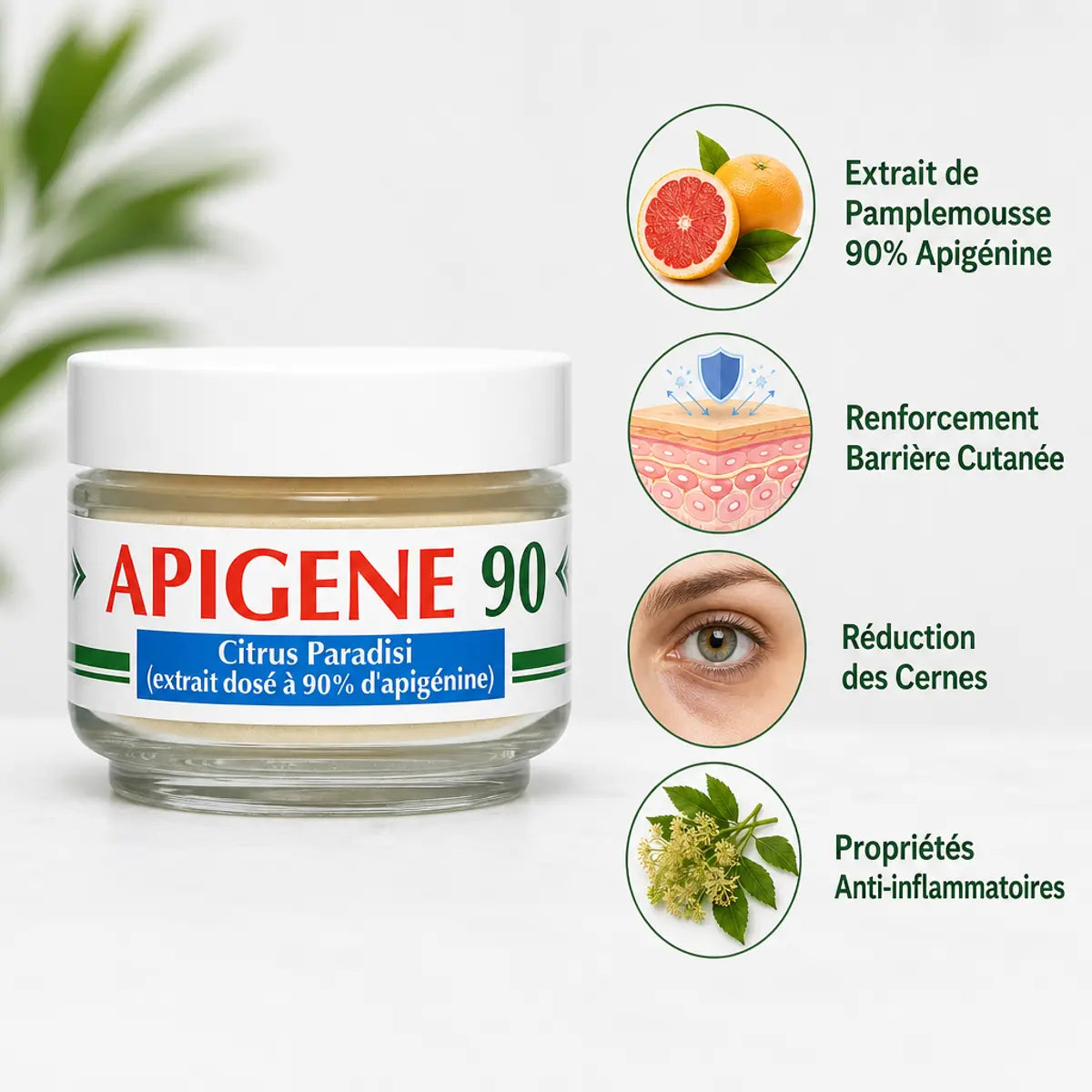 Apigene 90 - Extrait d'apigénine 90% pour barrière cutanée et réduction des cernes