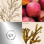 les ingrédients des gélules glycémie Archie