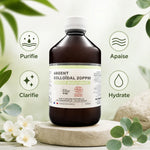 Argent Colloïdal bio 20 ppm Dr Theiss 500ml avec bénéfices purifie apaise clarifie hydrate