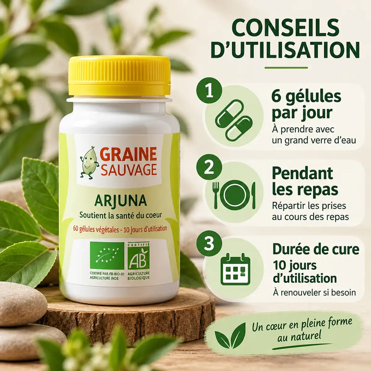 Arjuna bio 60 gélules Graine Sauvage avec mode d'emploi et dosage recommandé sur fond naturel
