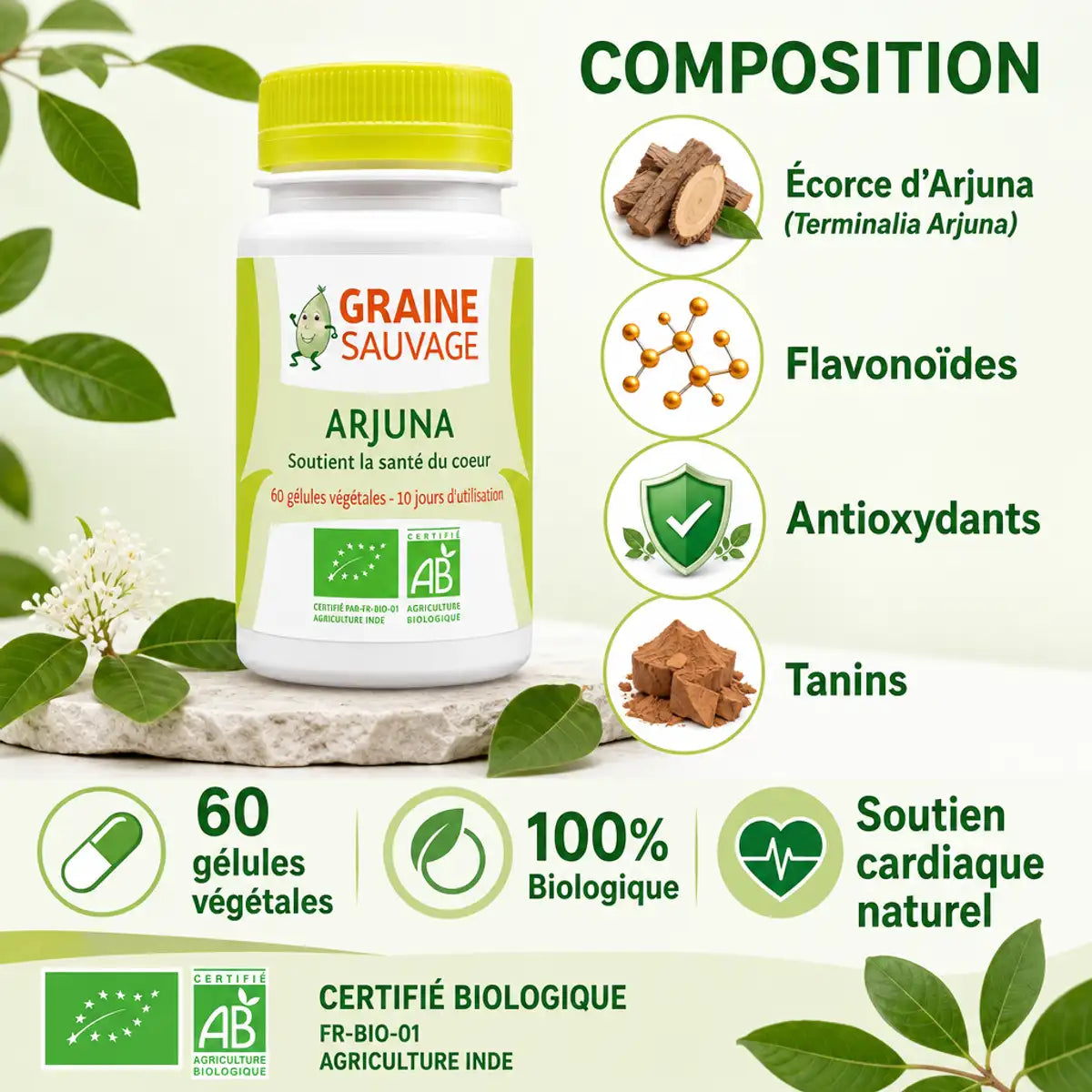 Arjuna bio 60 gélules Graine Sauvage - Flacon avec composition écorce d'Arjuna flavonoïdes antioxydants