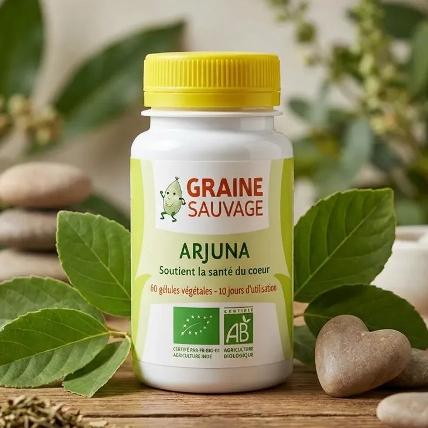 Arjuna bio 60 gélules Graine Sauvage avec feuilles arjuna frais sur surface naturelle