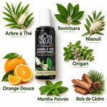 Spray Aromaspray Arbre à Thé Ravintsara 100ml avec 7 huiles essentielles protectrices et leurs ingrédients botaniques