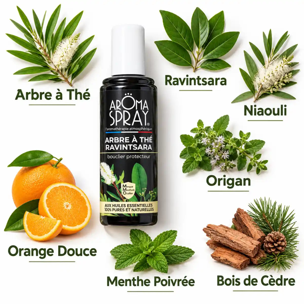 Spray Aromaspray Arbre à Thé Ravintsara 100ml avec 7 huiles essentielles protectrices et leurs ingrédients botaniques
