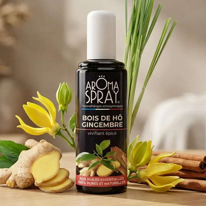 Aromaspray Bois de Hô & Gingembre 100 ml entouré de gingembre frais, bâtons de cannelle et fleurs ylang-ylang