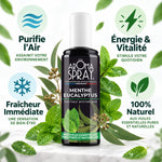 Aromaspray Menthe Eucalyptus 100ml avec feuilles fraîches et 4 bénéfices clés illustrés