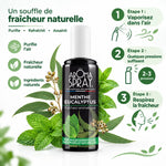 Aromaspray Menthe Eucalyptus 100ml avec feuilles fraîches et guide d'utilisation en 3 étapes