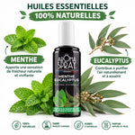Aromaspray Menthe Eucalyptus 100ml avec feuilles fraîches, huiles essentielles naturelles, fond blanc