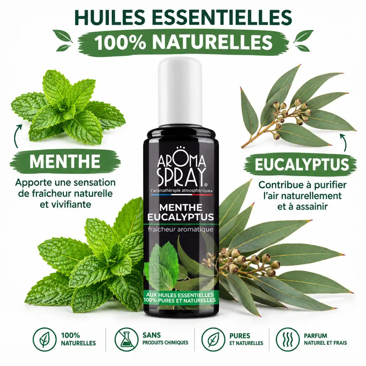 Aromaspray Menthe Eucalyptus 100ml avec feuilles fraîches, huiles essentielles naturelles, fond blanc