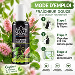 Aromaspray Menthe Niaouli 100ml avec guide d'utilisation et éléments botaniques frais