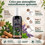 Aromaspray Myrte Santal 100ml avec guide d'utilisation en 3 étapes pour diffusion équilibrante boisée
